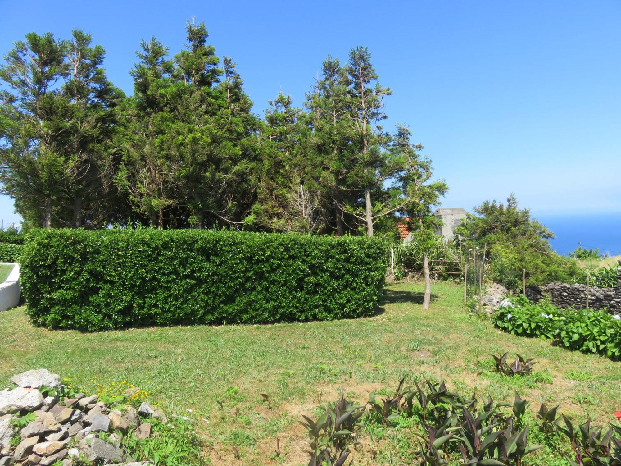 Villa Cedros Santa Cruz das Flores Dış mekan fotoğraf